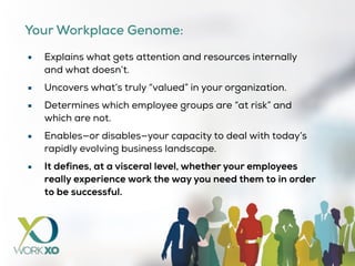 UNIQUE WORKPLACE GENOME
—
Measure and map your culture at the root
level via digital survey and analytics
platform
Get powerful data on your culture's
evolution, organizational sub-cultures,
employee-experience, success-drivers and
obstacles
CULTURE PRIORITIES
—
Uncover and understand the culture
dynamics that are driving and hindering
success
Identify priorities for your organization
CULTURE PLAYBOOK
—
Create action plan and commit
Implement, deliver, and instill
accountability
MEASURE ANALYZE ACTIVATE
WORKXO WORKPLACE GENOME™
ACTIVATION PROGRAM
A 3 Step Solution
 