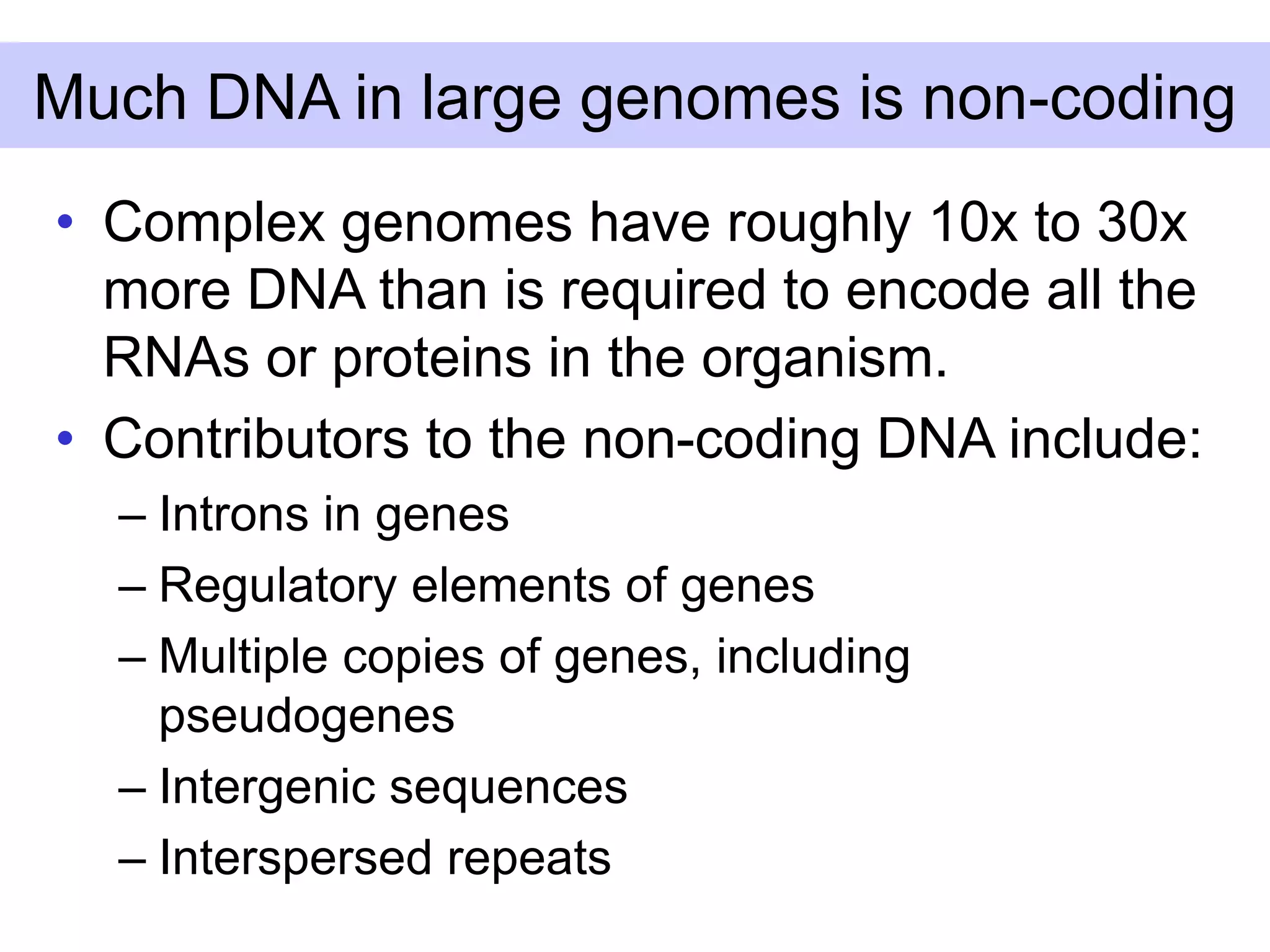 Much DNA in large genomes is non-coding
• Complex genomes have roughly 10x to 30x
more DNA than is required to encode all the
RNAs or proteins in the organism.
• Contributors to the non-coding DNA include:
– Introns in genes
– Regulatory elements of genes
– Multiple copies of genes, including
pseudogenes
– Intergenic sequences
– Interspersed repeats
 