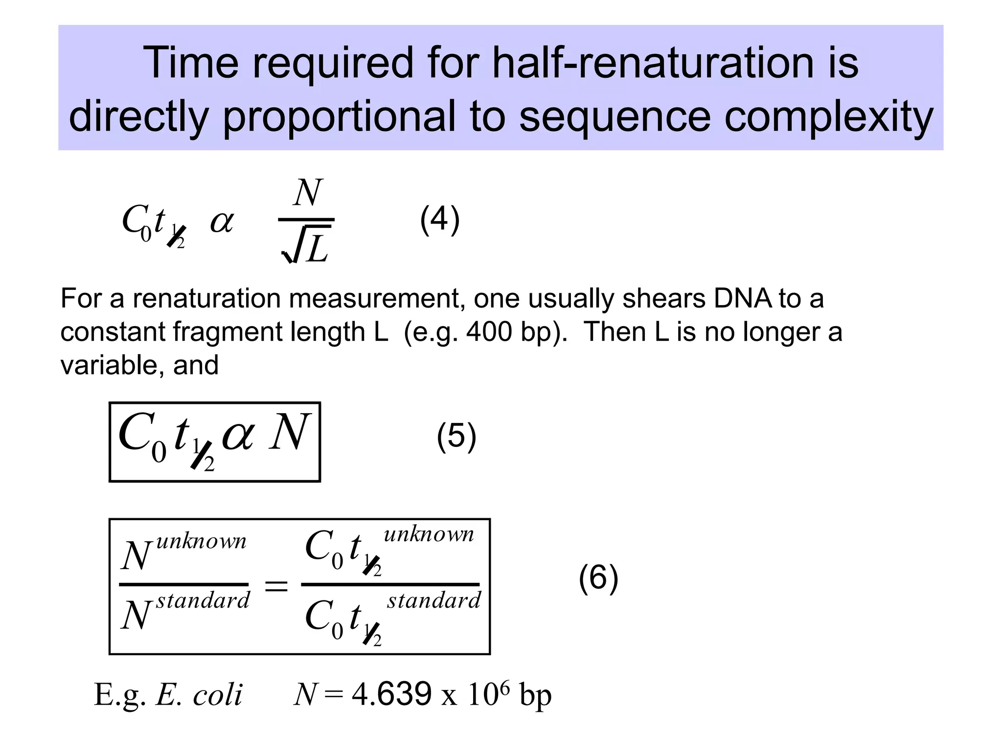 Time required for half-renaturation is
directly proportional to sequence complexity
C0t1
2

N
L
For a renaturation measurement, one usually shears DNA to a
constant fragment length L (e.g. 400 bp). Then L is no longer a
variable, and
C0 t1
2
 N
N unknown
N standard 
C0 t1
2
unknown
C0 t1
2
standard
E.g. E. coli N = 4.639 x 106 bp
(4)
(5)
(6)
 