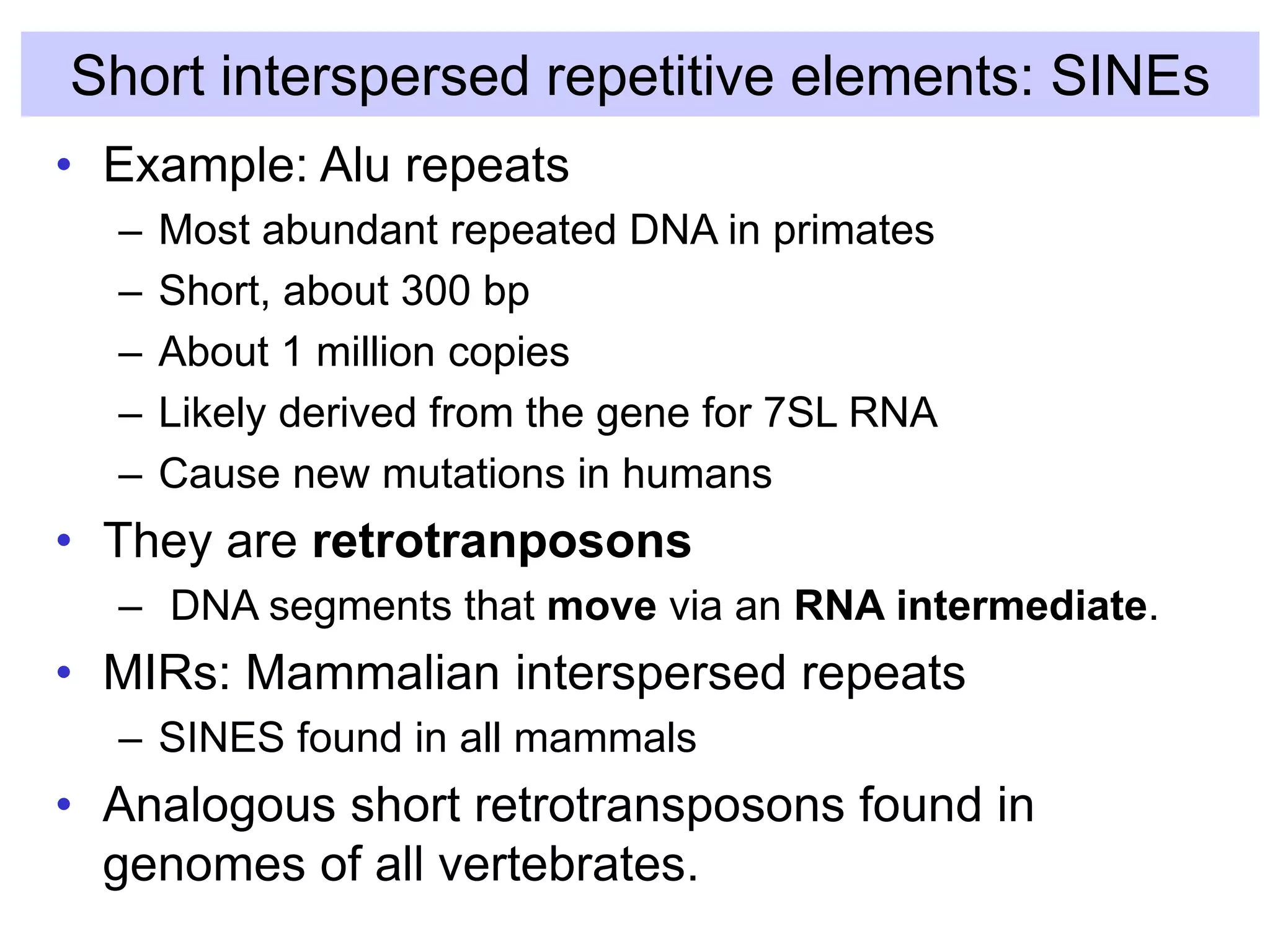 Short interspersed repetitive elements: SINEs
• Example: Alu repeats
– Most abundant repeated DNA in primates
– Short, about 300 bp
– About 1 million copies
– Likely derived from the gene for 7SL RNA
– Cause new mutations in humans
• They are retrotranposons
– DNA segments that move via an RNA intermediate.
• MIRs: Mammalian interspersed repeats
– SINES found in all mammals
• Analogous short retrotransposons found in
genomes of all vertebrates.
 