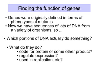 • Genes were originally defined in terms of
phenotypes of mutants
• Now we have sequences of lots of DNA from
a variety of organisms, so ...
• Which portions of DNA actually do something?
• What do they do?
• code for protein or some other product?
• regulate expression?
• used in replication, etc?
Finding the function of genes
 