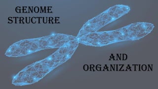 and
Organization
Genome
Structure
 