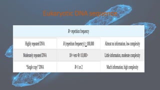 Eukaryotic DNA sequence
 