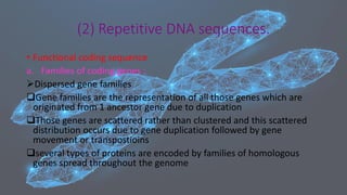 (2) Repetitive DNA sequences.
• Functional coding sequence
a. Families of coding genes :
➢Dispersed gene families
❑Gene families are the representation of all those genes which are
originated from 1 ancestor gene due to duplication
❑Those genes are scattered rather than clustered and this scattered
distribution occurs due to gene duplication followed by gene
movement or transpostioins
❑several types of proteins are encoded by families of homologous
genes spread throughout the genome
 