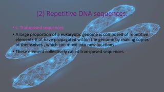 • c. Transposed sequences
• A large proportion of a eukaryotic genome is composed of repetitive
elements that have propagated within the genome by making copies
of themselves , which can move into new locations .
• These element collectively called transposed sequences
(2) Repetitive DNA sequences.
 