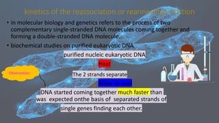 kinetics of the reassociation or reannealing reaction
• in molecular biology and genetics refers to the process of two
complementary single-stranded DNA molecules coming together and
forming a double-stranded DNA molecule.
• biochemical studies on purified eukaryotic DNA
purified nucleic eukaryotic DNA
Heat
The 2 strands separate
Allow to cool
DNA started coming together much faster than
was expected onthe basis of separated strands of
single genes finding each other.
Observation
 