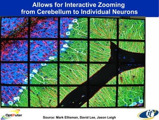 Allows for Interactive Zooming  from Cerebellum to Individual Neurons Source: Mark Ellisman, David Lee, Jason Leigh 