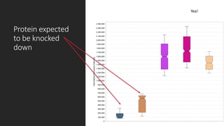 Protein expected
to be knocked
down
Yea!
 