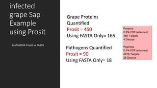 infected
grape Sap
Example
using Prosit
ScaffoldDIA Prosit vs FASTA
Pathogens Quantified
Prosit = 90
Using FASTA Only= 18
Grape Proteins
Quantified
Prosit = 450
Using FASTA Only= 165
 