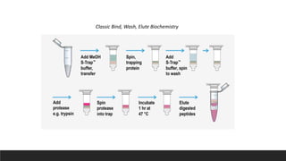 Classic Bind, Wash, Elute Biochemistry
 