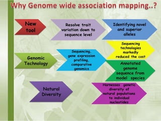 Genome wide association studies seminar | PPTX