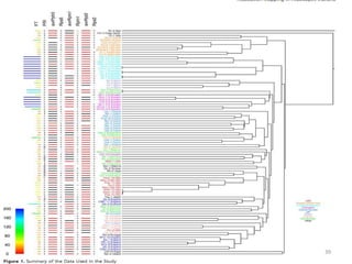 Genome wide association studies seminar | PPTX