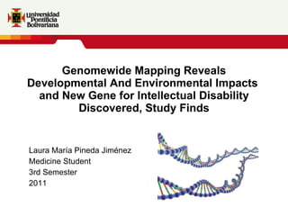 Genomewide Mapping Reveals Developmental And Environmental Impacts  and New Gene for Intellectual Disability Discovered, Study Finds   Laura María Pineda Jiménez Medicine Student 3rd Semester 2011   