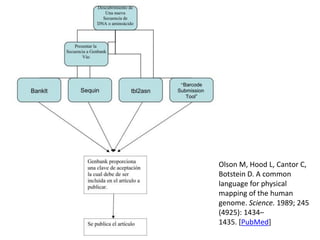 Olson M, Hood L, Cantor C,
Botstein D. A common
language for physical
mapping of the human
genome. Science. 1989; 245
(4925): 1434–
1435. [PubMed]
 