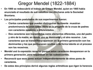 Gregor Mendel (1822-1884)
•   En 1900 se redescubrió el trabajo de Gregor Mendel, quien en 1865 había
    anunciado el resultado de sus estudios con chícharos ante la Sociedad
    Bruniana.
•   Los principales postulados de sus experimentos fueron:
     – Ciertos caracteres que pueden distinguirse fácilmente muestran
       predominancia de unos sobre otros en la progenie de la cruza de padres
       con caracteres opuestos o diferenciados.
     – Dos caracteres son transmitidos como elementos diferentes, uno del padre
       y otro de la madre, en donde uno es dominante y el otro recesivo . Los
       caracteres que se transmiten y aparecen en la primera generación son los
       dominantes y los que permanecen ocultos o de forma latente en el proceso
       son los recesivos.
•   Mendel usó la expresión recesivo porque estos caracteres desaparecen en la
    primera generación, pero reaparecen en las subsecuentes.
•   Reconoció que esos pares actúan independientemente de otros pares de
    caracteres.
•   De estos dos principios derivó algunas reglas aritméticas que rigen la herencia
 