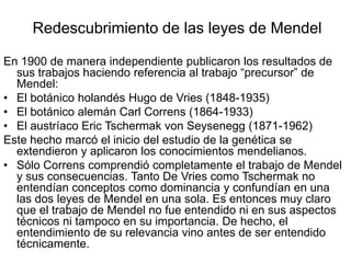 Redescubrimiento de las leyes de Mendel

En 1900 de manera independiente publicaron los resultados de
  sus trabajos haciendo referencia al trabajo “precursor” de
  Mendel:
• El botánico holandés Hugo de Vries (1848-1935)
• El botánico alemán Carl Correns (1864-1933)
• El austríaco Eric Tschermak von Seysenegg (1871-1962)
Este hecho marcó el inicio del estudio de la genética se
  extendieron y aplicaron los conocimientos mendelianos.
• Sólo Correns comprendió completamente el trabajo de Mendel
  y sus consecuencias. Tanto De Vries como Tschermak no
  entendían conceptos como dominancia y confundían en una
  las dos leyes de Mendel en una sola. Es entonces muy claro
  que el trabajo de Mendel no fue entendido ni en sus aspectos
  técnicos ni tampoco en su importancia. De hecho, el
  entendimiento de su relevancia vino antes de ser entendido
  técnicamente.
 