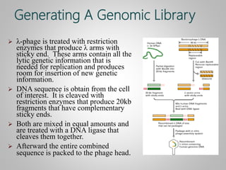 Genomic Library Ppt