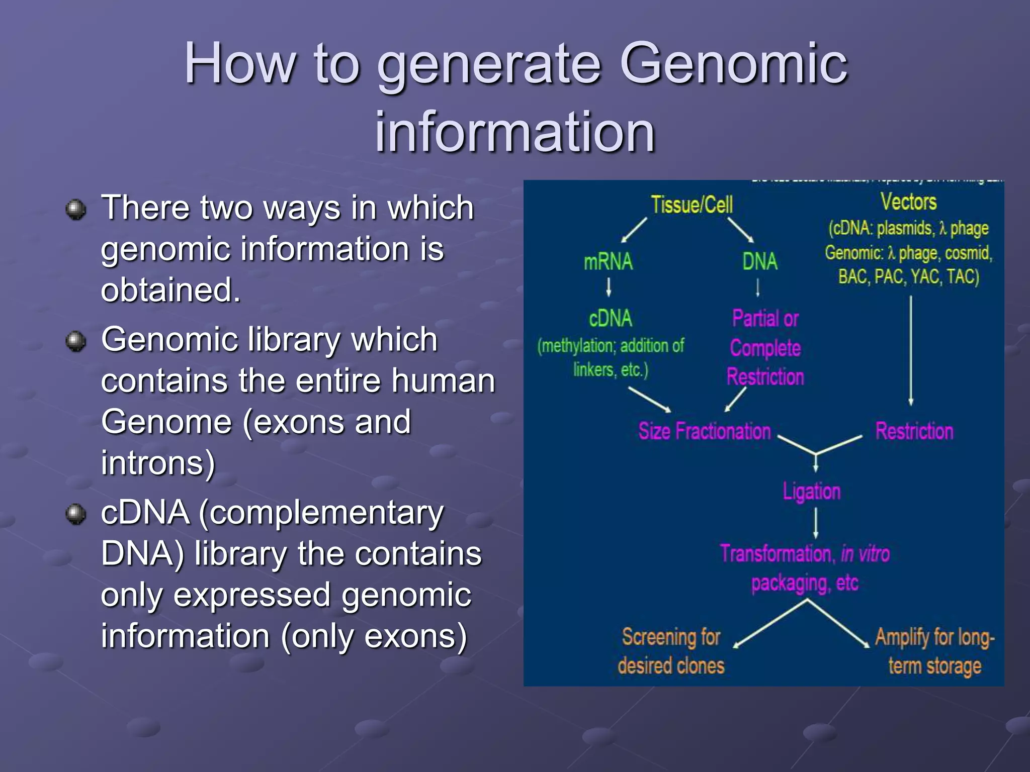 Genomic and cDNA Libraries.ppt | Biological Sciences | Science