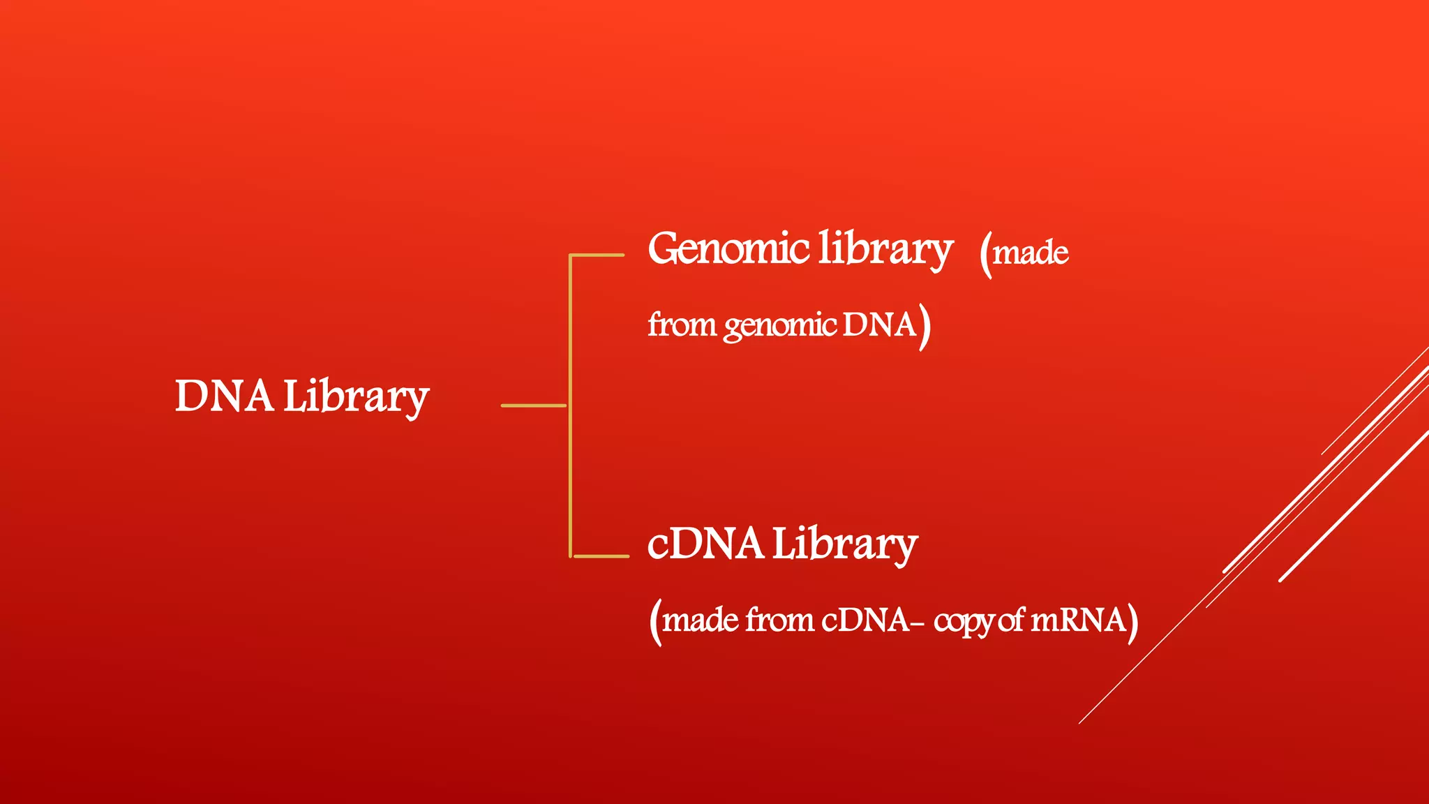 Genomic and c dna library by Kailash Sontakke | PPT