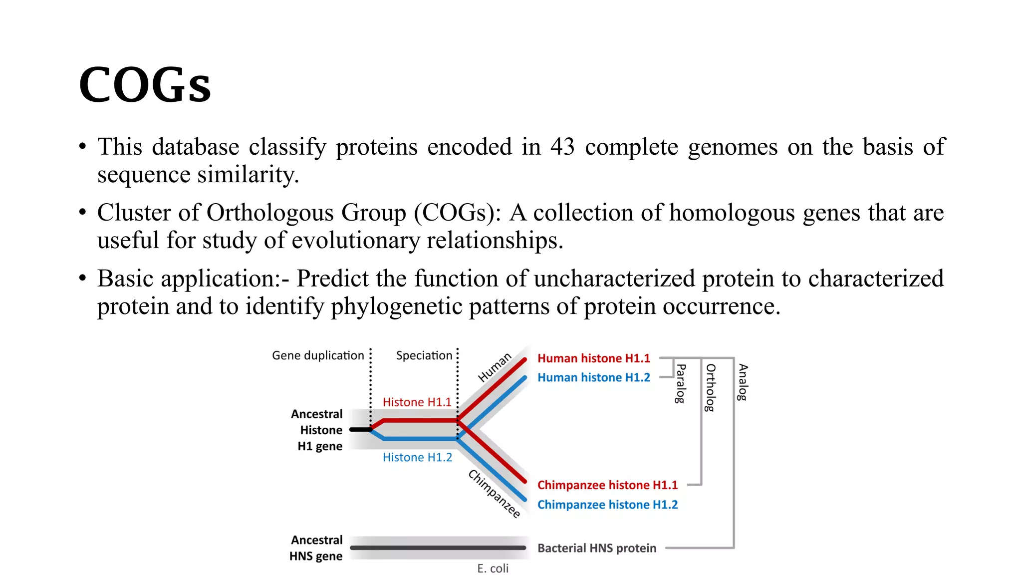 COGs
• This database classify proteins encoded in 43 complete genomes on the basis of
sequence similarity.
• Cluster of Orthologous Group (COGs): A collection of homologous genes that are
useful for study of evolutionary relationships.
• Basic application:- Predict the function of uncharacterized protein to characterized
protein and to identify phylogenetic patterns of protein occurrence.
 