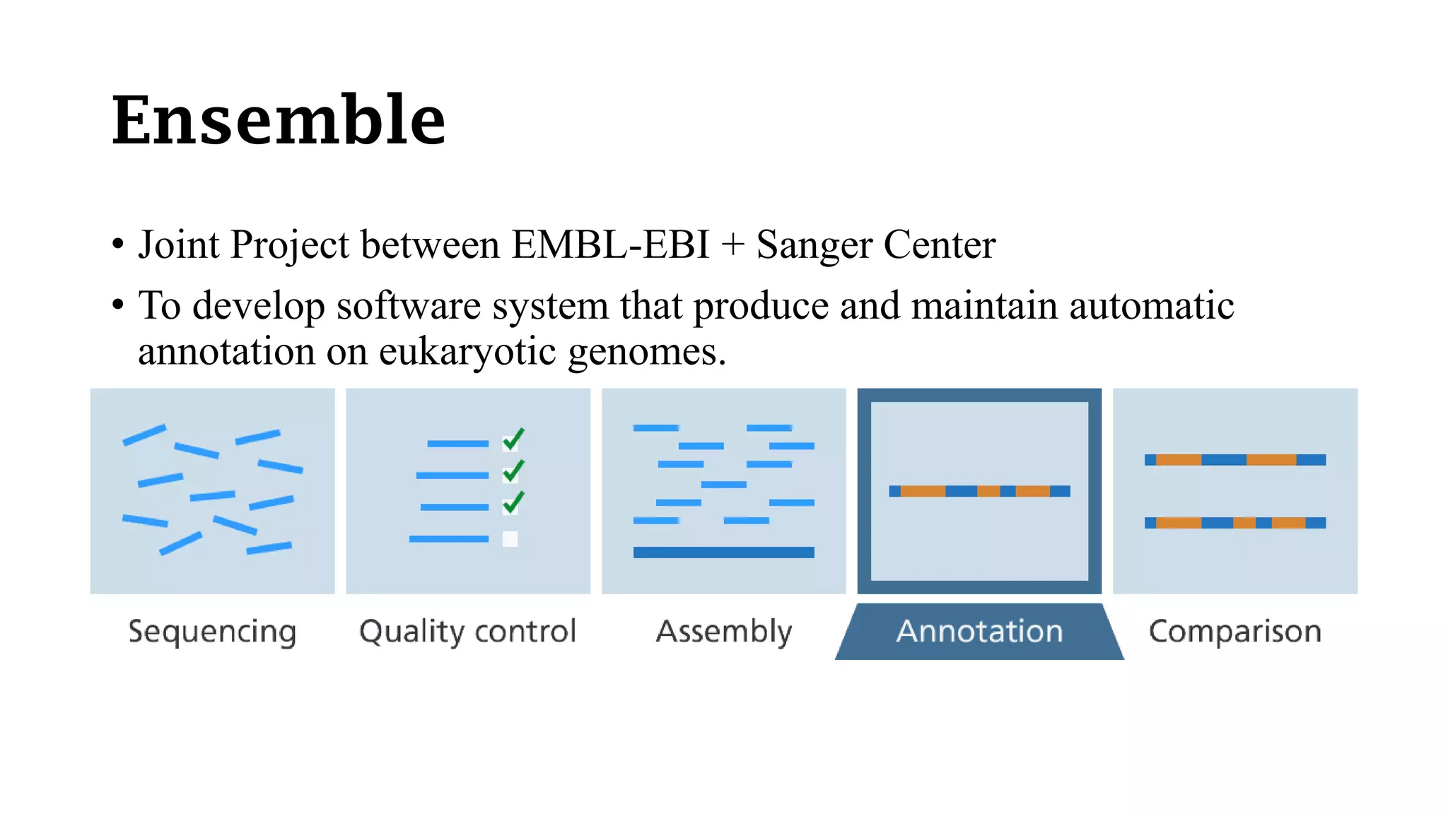 Ensemble
• Joint Project between EMBL-EBI + Sanger Center
• To develop software system that produce and maintain automatic
annotation on eukaryotic genomes.
 