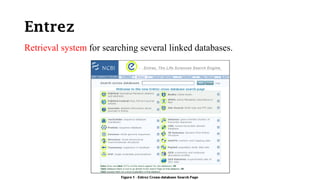 Entrez System Genomic databases | PDF