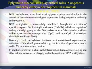 Epigenetic mechanisms play critical roles in oogenesis
and early embryo development in mammals
(Uysal et al., 2015)
• DNA methylation, a mechanism of epigenetic plays crucial roles in the
control of development-related gene expression during oogenesis and early
embryogenesis.
• DNA methylation is successfully established through the activities of
specific enzymes, DNA methyltransferases (DNMTs), which are capable of
adding a methyl group to the fifth carbon atom of the cytosine residues
within cytosine-phosphate-guanine (CpG) and non-CpG dinucleotides
sites(Reik and Dean, 2001)
• Basically, DNA methylation functions in transcriptional repression or
activation of the development-related genes in a time-dependent manner,
and in X-chromosome inactivation .
• In addition, processes such as cell differentiation, tumorogenesis, aging and
other cellular activities are largely under the control of DNA methylation.
 