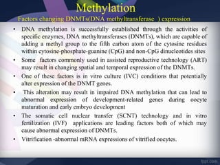 Methylation
Factors changing DNMTs(DNA methyltransferase ) expression
• DNA methylation is successfully established through the activities of
specific enzymes, DNA methyltransferases (DNMTs), which are capable of
adding a methyl group to the fifth carbon atom of the cytosine residues
within cytosine-phosphate-guanine (CpG) and non-CpG dinucleotides sites
• Some factors commonly used in assisted reproductive technology (ART)
may result in changing spatial and temporal expression of the DNMTs.
• One of these factors is in vitro culture (IVC) conditions that potentially
alter expression of the DNMT genes.
• This alteration may result in impaired DNA methylation that can lead to
abnormal expression of development-related genes during oocyte
maturation and early embryo development
• The somatic cell nuclear transfer (SCNT) technology and in vitro
fertilization (IVF) applications are leading factors both of which may
cause abnormal expression of DNMTs.
• Vitrification -abnormal mRNA expressions of vitrified oocytes.
 