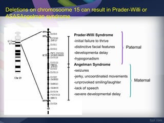 Deletions on chromosoome 15 can result in Prader-Willi or
ASASAngelman syndrome
Prader-Willi Syndrome
-initial failure to thrive
-distinctive facial features
-developmenta delay
-hypogonadism
Angelman Syndrome
-seizures
-jerky, uncoordinated movements
-unprovoked smiling/laughter
-lack of speech
-severe developmental delay
Paternal
Maternal
 