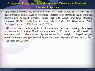 Epigenetic Programming and Imprinted Disorders in Domestic
Livestock Species
• Epigenetic perturbations, associated with ART and SCNT, may contribute to
developmental issues such as increased abortion rate, perinatal death, enlarged
placentomes, enlarged umbilical cords, high-birth weight and large offspring
syndrome (LOS; Campbell et al., 1996; Cibelli et al., 1998; Kang et al., 2003;
Alexopoulos et al., 2008; Smith et al., 2012).
• LOS is an overgrowth disorder in domesticated ruminants bearing phenotypic
similarities to Beckwith– Wiedemann syndrome (BWS, an overgrowth disorder in
humans), and is characterized by excessive birth weight, enlarged tongue,
umbilical hernia, enlarged internal organs and hypo- glycemia (Young et al., 1998;
Weksberg et al., 2010).
 