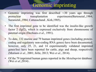 Genomic imprinting
• Genomic imprinting was first described ∼30 years ago through
pronuclear transplantation experiments(Bartonetal.,1984;
Suranietal.,1984; Cattanachand , Kirk,1985).
• The first imprinted gene to be identified was the insulin-like growth
factor 2 (Igf2), which is expressed exclusively from chromosome of
paternal origin (Dechiara et al., 1991).
• To date, 132 murine and 79 human imprinted genes (including protein-
coding and regulatory non-coding RNA genes) have been documented;
however, only 25, 21, and 14 experimentally validated imprinted
genes/loci have been reported for cattle, pigs and sheep, respectively
(Morison et al., 2001; Jirtle, 2013; Wei et al., 2014).
• Of the 79 imprinted human genes reported in the MetaImprint database
(Wei et al.,2014) .
 