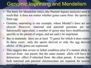 Genomic Imprinting and Mendelism
• The basis for Mendelian ratios (the Punnett Square analysis) used to
teach that it does not matter whether genes came from the sperm or
from egg.
• Genomic imprinting is one example, where Mendel’s laws are not
obeyed. However, maternal and paternal genomes are not
functionally equivalent; a number of genes may have modifications,
specific to the parent of origin, and are said o be imprinted.
• But in mammals there are at least 75 genes for which it does matter
In these cases only the sperm derived or only the egg derived
alleles of the genes are expressed.
• This suggest that severe or lethal condition arise if a mutant allele is
derived from one parent ,but the same mutant allele will have no
deleterious effect if inherited from the other parent. It means that
both maternal and paternal chromosomes are required for normal
mammalian development.
 