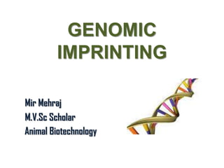 GENOMIC
IMPRINTING
Mir Mehraj
M.V.Sc Scholar
Animal Biotechnology

 