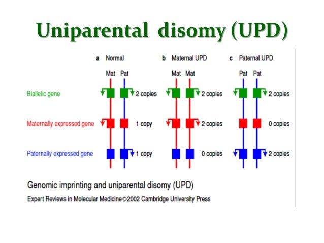 Genomic imprinting