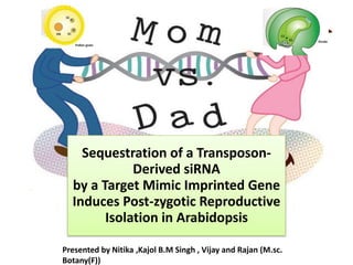 Sequestration of a Transposon-
Derived siRNA
by a Target Mimic Imprinted Gene
Induces Post-zygotic Reproductive
Isolation in Arabidopsis
Presented by Nitika ,Kajol B.M Singh , Vijay and Rajan (M.sc.
Botany(F))
 
