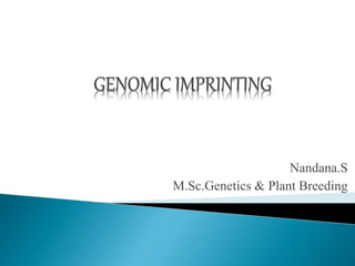 Nandana.S
M.Sc.Genetics & Plant Breeding
 