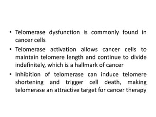 • Telomerase dysfunction is commonly found in
cancer cells
• Telomerase activation allows cancer cells to
maintain telomere length and continue to divide
indefinitely, which is a hallmark of cancer
• Inhibition of telomerase can induce telomere
shortening and trigger cell death, making
telomerase an attractive target for cancer therapy
 