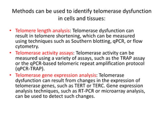 Methods can be used to identify telomerase dysfunction
in cells and tissues:
• Telomere length analysis: Telomerase dysfunction can
result in telomere shortening, which can be measured
using techniques such as Southern blotting, qPCR, or flow
cytometry.
• Telomerase activity assays: Telomerase activity can be
measured using a variety of assays, such as the TRAP assay
or the qPCR-based telomeric repeat amplification protocol
(qPCR-TRAP).
• Telomerase gene expression analysis: Telomerase
dysfunction can result from changes in the expression of
telomerase genes, such as TERT or TERC. Gene expression
analysis techniques, such as RT-PCR or microarray analysis,
can be used to detect such changes.
 