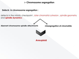 Genomic instability | PPSX