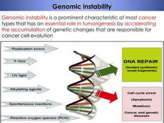 Genomic instability
Genomic instability is a prominent characteristic of most cancer
types that has an essential role in tumorigenesis by accelerating
the accumulation of genetic changes that are responsible for
cancer cell evolution

 