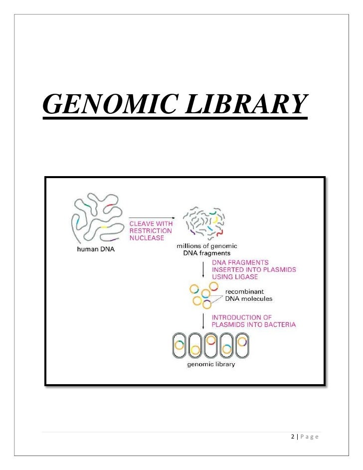 genomic library