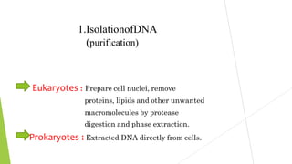 1.IsolationofDNA
(purification)
Eukaryotes : Prepare cell nuclei, remove
proteins, lipids and other unwanted
macromolecules by protease
digestion and phase extraction.
Prokaryotes : Extracted DNA directly from cells.
 