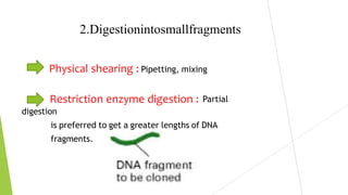 2.Digestionintosmallfragments
Physical shearing : Pipetting, mixing
Restriction enzyme digestion : Partial
digestion
is preferred to get a greater lengths of DNA
fragments.
 