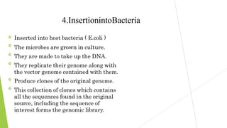 





4.InsertionintoBacteria
Inserted into host bacteria ( E.coli )
The microbes are grown in culture.
They are made to take up the DNA.
They replicate their genome along with
the vector genome contained with them.
Produce clones of the original genome.
This collection of clones which contains
all the sequences found in the original
source, including the sequence of
interest forms the genomic library.
 