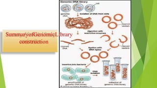 SummaryofGenomicLibrary
construction
 