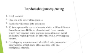 1.
2.
3.
4.
5.
Randomshotgunsequencing
DNA isolated
Cleaved into several fragments
Randomly inserted into plasmids
A) Some plasmids contain inserts which will be different
from the others B) Some plasmids will have inserts
which may contain some regions present in one insert
and a few region present in other insert i.e. overlapping
inserts.
Overlapping sequences are identified using computer
programmes which joins all sequences into one
contiguous stretch.
 