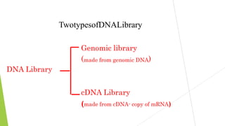TwotypesofDNALibrary
Genomic library
(made from genomic DNA)
DNA Library
cDNA Library
(made from cDNA- copy of mRNA)
 