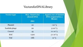 VectorsforDNALibrary
 