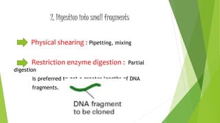 2. Digestion into small fragments
Physical shearing : Pipetting, mixing
Restriction enzyme digestion : Partial
digestion
is preferred to get a greater lengths of DNA
fragments.
 