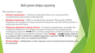 Whole genome shotgun sequencing
This includes 4 stages:
1. Library construction :- A library of plasmid clones are constructed by
transforming E.coli strains with plasmid.
2. Random sequencing :- DNA is purified from plasmid. Thousands of DNA
fragments are sequenced using automated sequencer and the whole genome is
sequenced several times.
3. Fragment alignment and gap closure :- Computer programmes assemble the
sequenced fragments into longer stretches of sequence by comparing the
overlapping sequence This ‘overlap comparison method’ resulted in a set
of larger contiguous nucleotide sequence called contigs Contigs aligned
in a proper order to form the completed genome sequence If there is gap
between contigs, they are analysed and filled.
4. Proof reading :- Ambiguities in the sequence can be resolved and mutations can
be corrected.
 